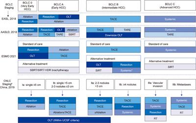 Downstaging Conversion Therapy in Patients With Initially Unresectable Advanced Hepatocellular Carcinoma: An Overview